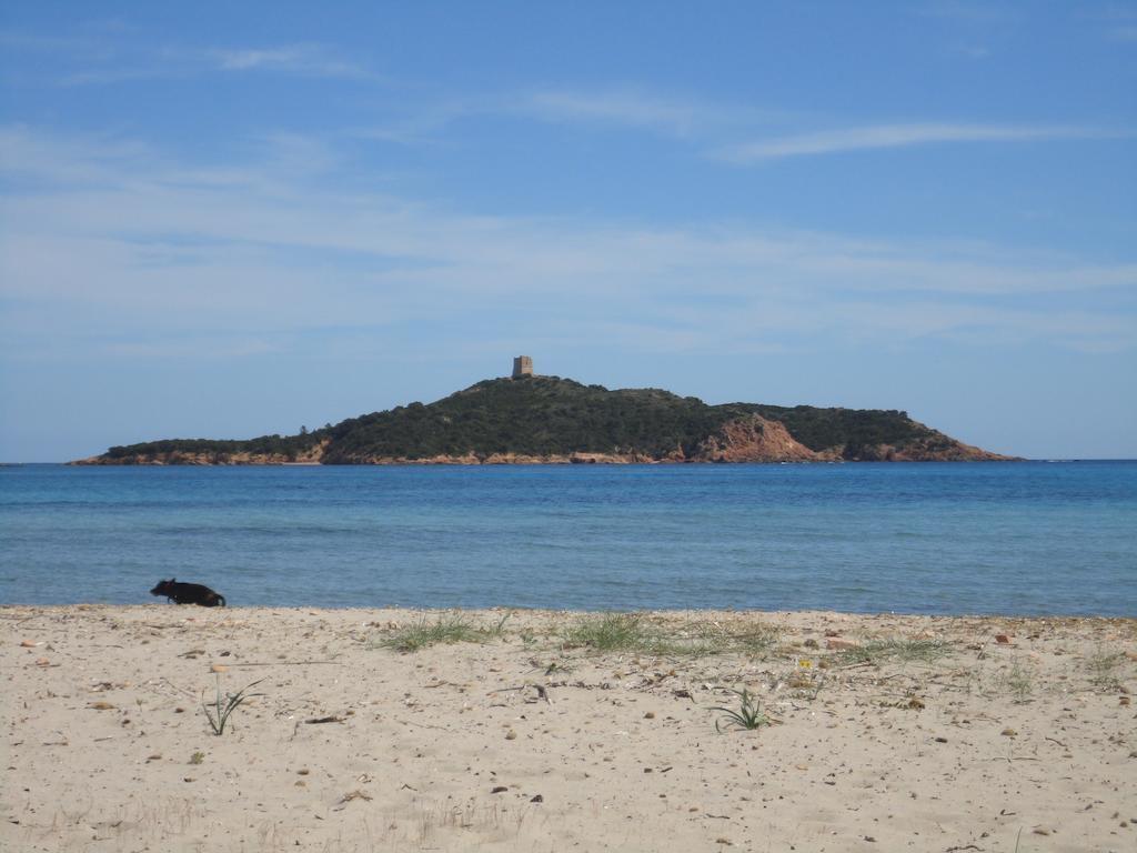 Villa Coucou Les Amis Sainte-Lucie de Porto-Vecchio Eksteriør billede